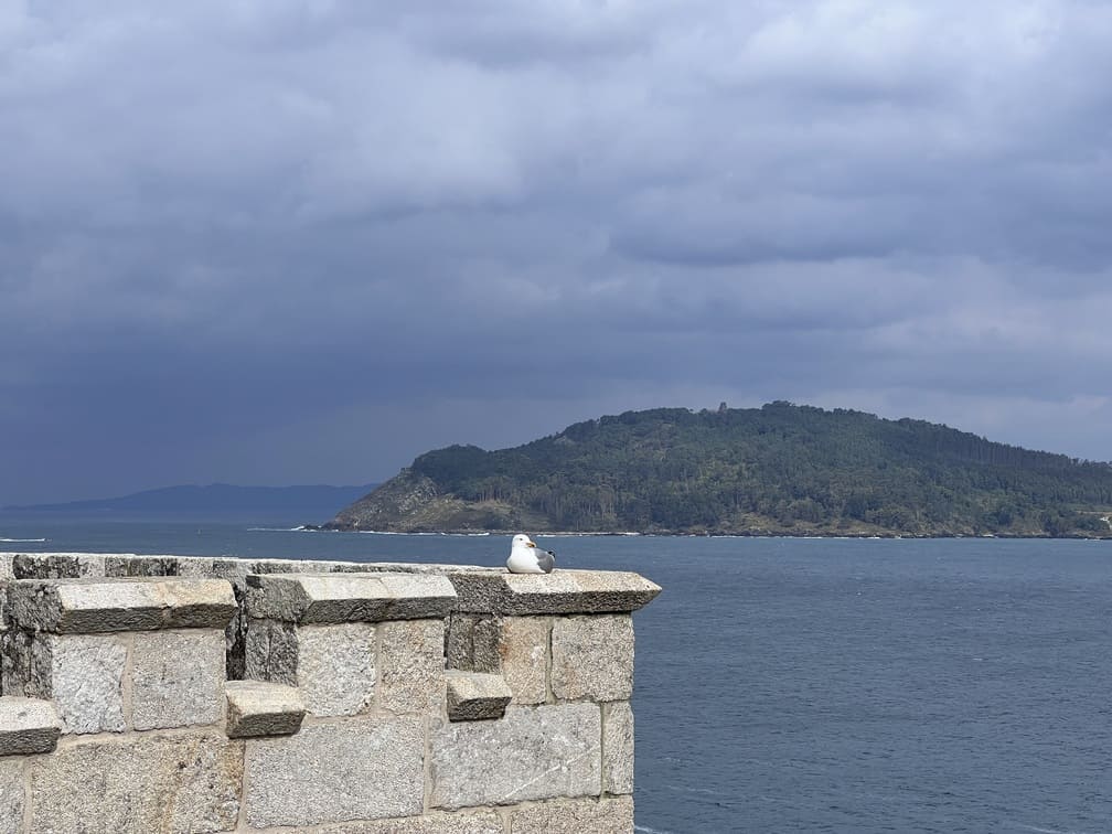 BAIONA-3